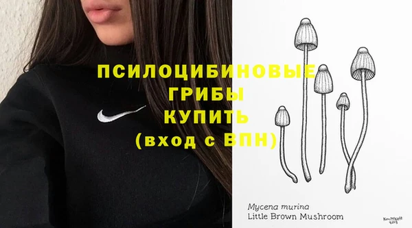 наркотики Заводоуковск