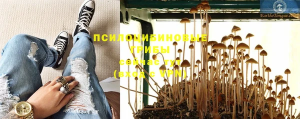 наркотики Заводоуковск