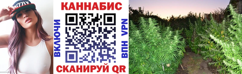 Марихуана планчик  купить наркотики сайты  Пестово 
